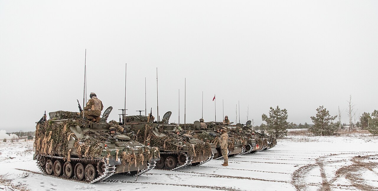 Mine-Clearing Line Charge during Winter Shield 2021 (3).jpg